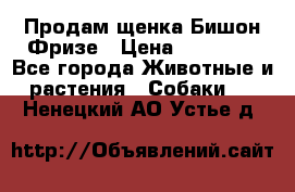 Продам щенка Бишон Фризе › Цена ­ 30 000 - Все города Животные и растения » Собаки   . Ненецкий АО,Устье д.